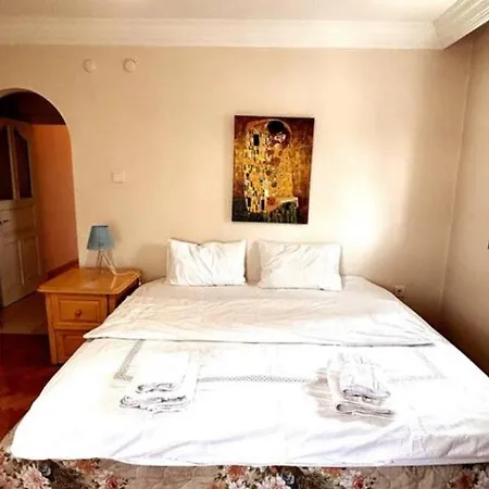 A Large, Comfortable Flat In The Area Of Ankara, Turkey Ankara